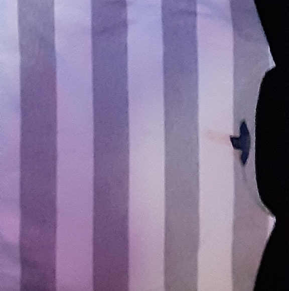 Polo Ralph Lauren cropped long sleeve - Picture 2 of 5